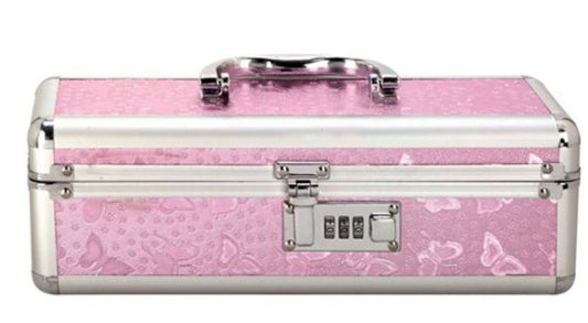 Lockable Vibrator Case - The Toy Chest - Medium - Pink