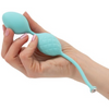 Pillow Talk – Frisky Pleasure Ball Teal