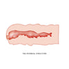 Crazy Bull Vagina Masturbator Isabel Flesh 135mm x 60mm