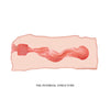 Crazy Bull Vagina Masturbator Jane Flesh 135mm x 60mm