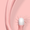 Kylin Vibrator