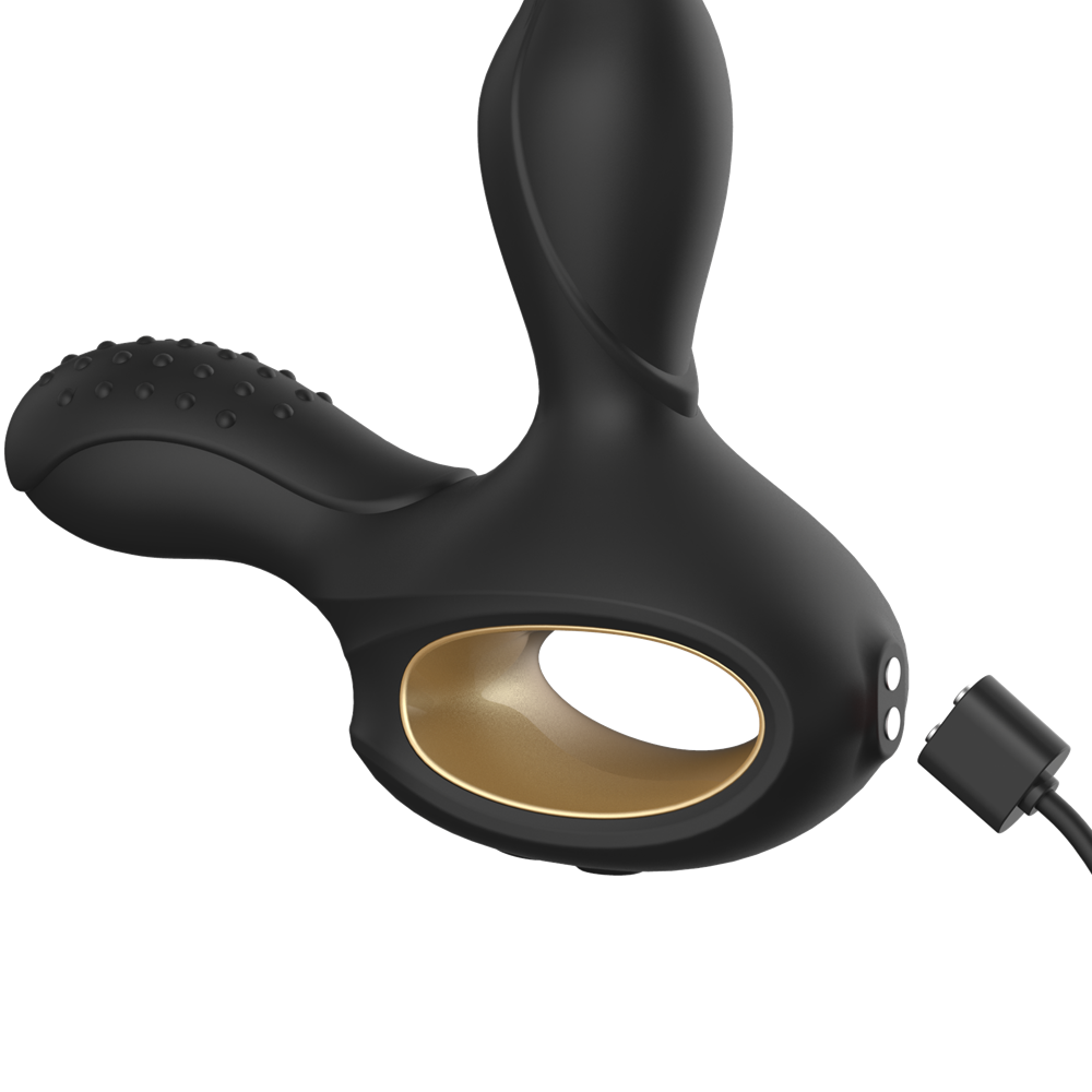 Desir Master prostate massager