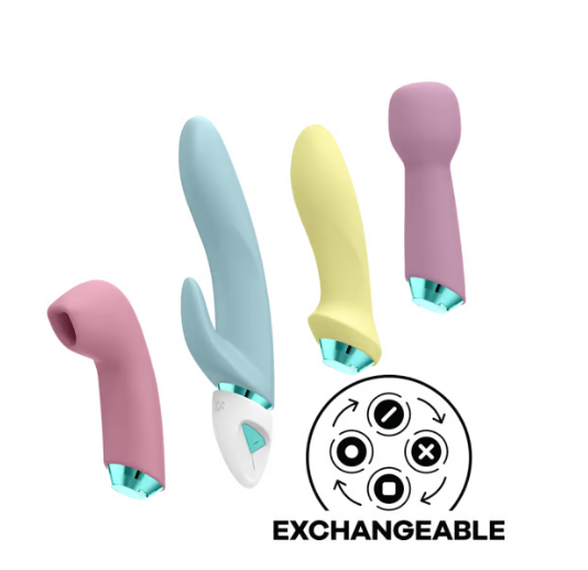 Satisfyer Fabulous Four